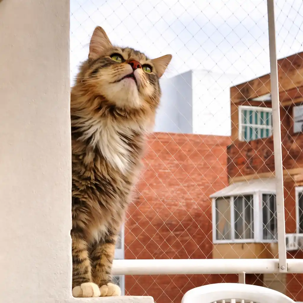 Redes para gatos y mascotas